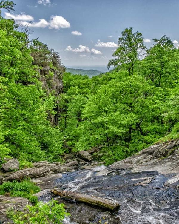 Spice farm in Kerala