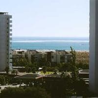 Ceylon Cinnamon Quills view 4