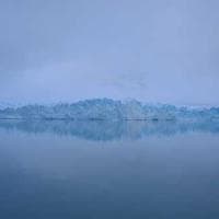 Tellicherry Black Pepper view 2