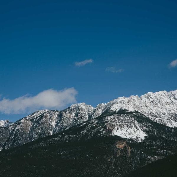 Star Anise (Chakra Phool)